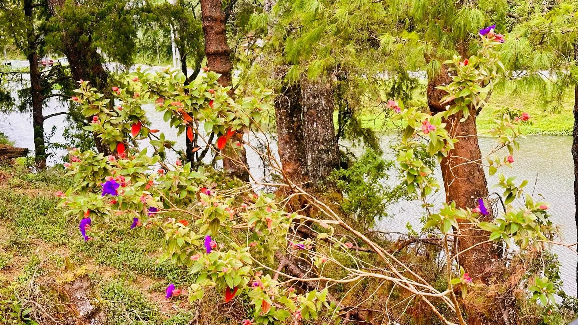Villa Lakeside Cottage By Clover Nuwara Eliya