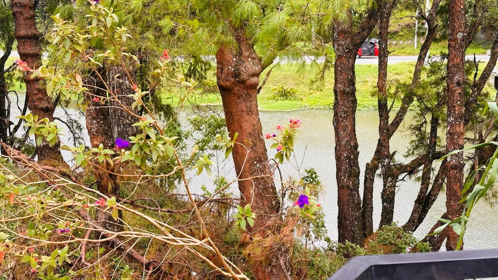 Lakeside Cottage By Clover Nuwara Eliya Villa